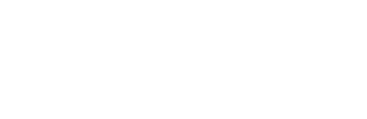 Aldeia srl